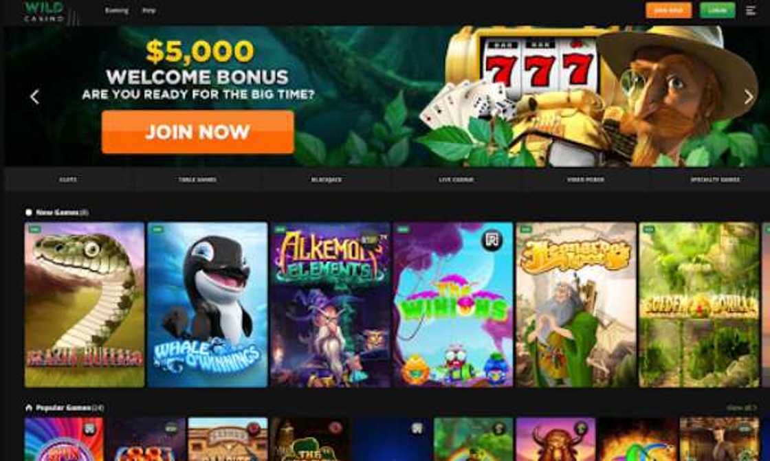 11 Top-Ranked Online Roulette Casinos in Canada: Key Features and Bonuses 11 Top-Ranked Online Roulette Casinos in Canada: Key Features and Bonuses