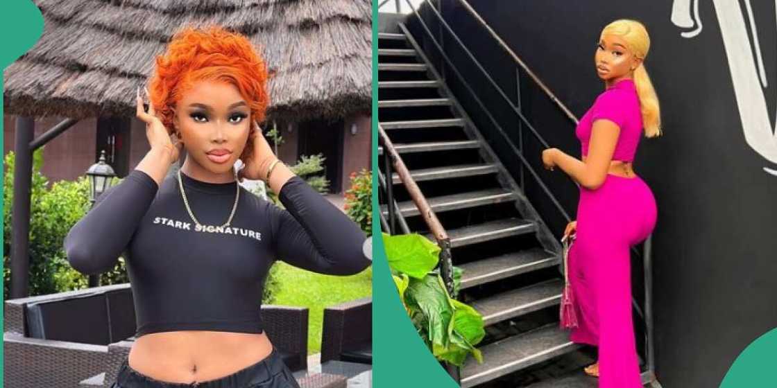 Jay Boogie, lady, kidney Jay Boogie, lady, kidney