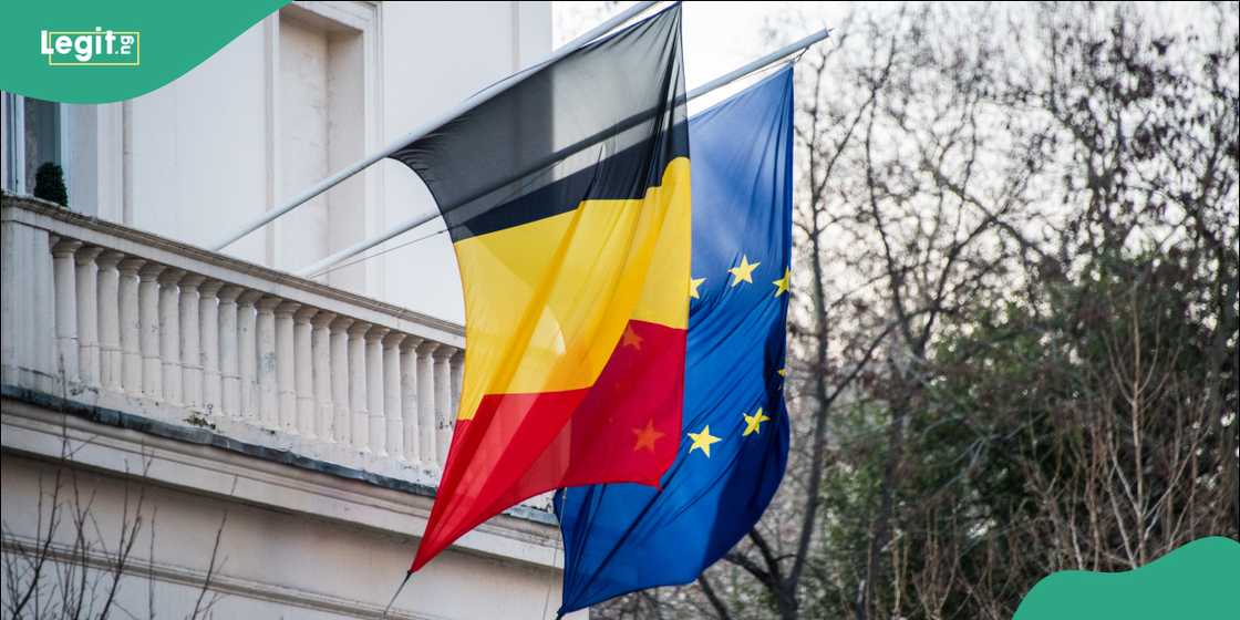 Germany embassy invites Nigerians to apply for role