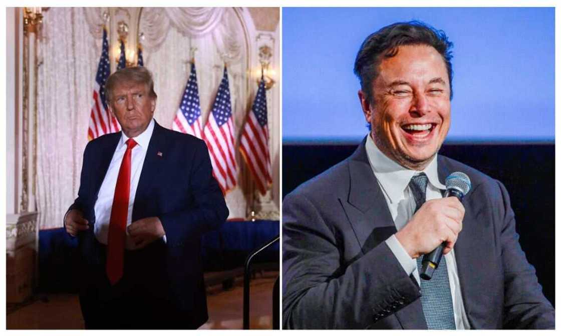 Elon Musk, Donald Trump, Twitter Elon Musk, Donald Trump, Twitter