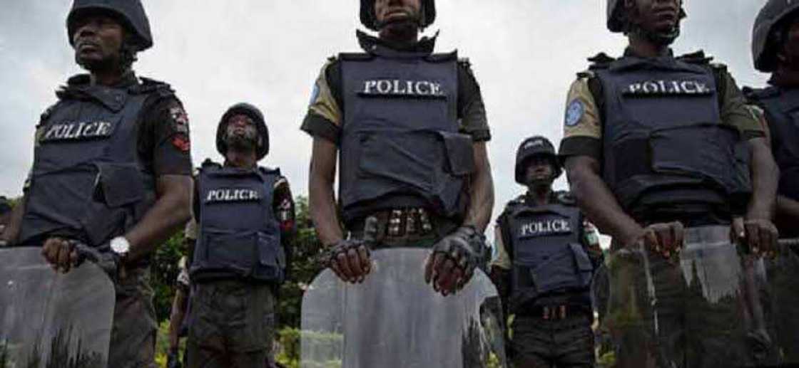 Jami'an yan sanda. Jami'an yan sanda.