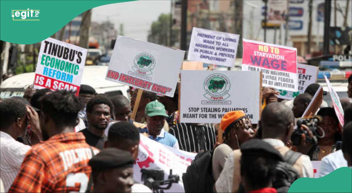 Zanga zanga Zanga zanga