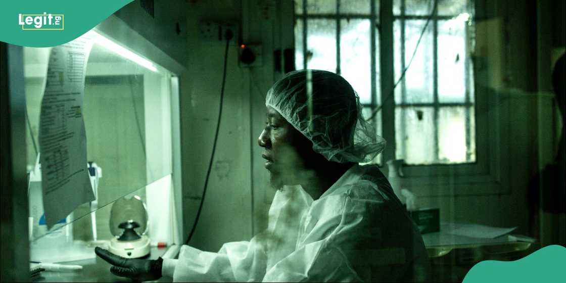 Plateau State officials confirmed a fresh Lassa fever outbreak. Plateau State officials confirmed a fresh Lassa fever outbreak.