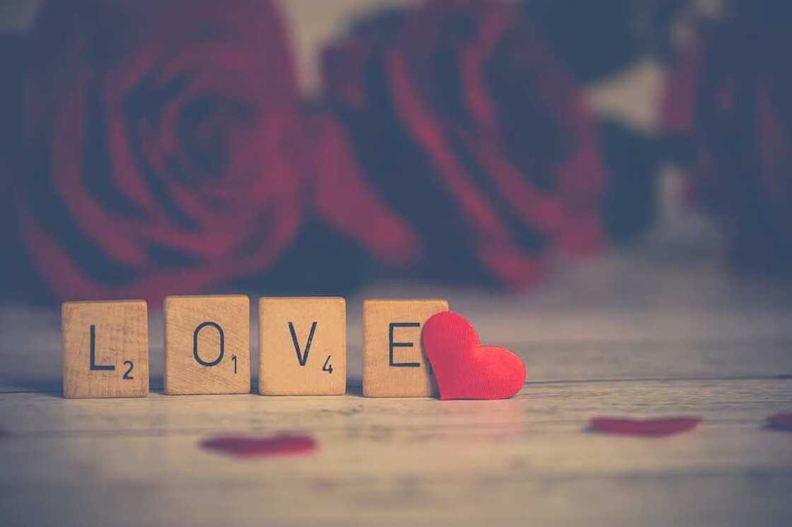 How long does it take to fall in love How long does it take to fall in love