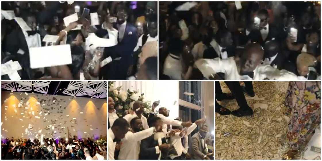 Cubana wedding style: Video of recent wedding ceremony where only dollar notes was sprayed goes viral, people Cubana wedding style: Video of recent wedding ceremony where only dollar notes was sprayed goes viral, people