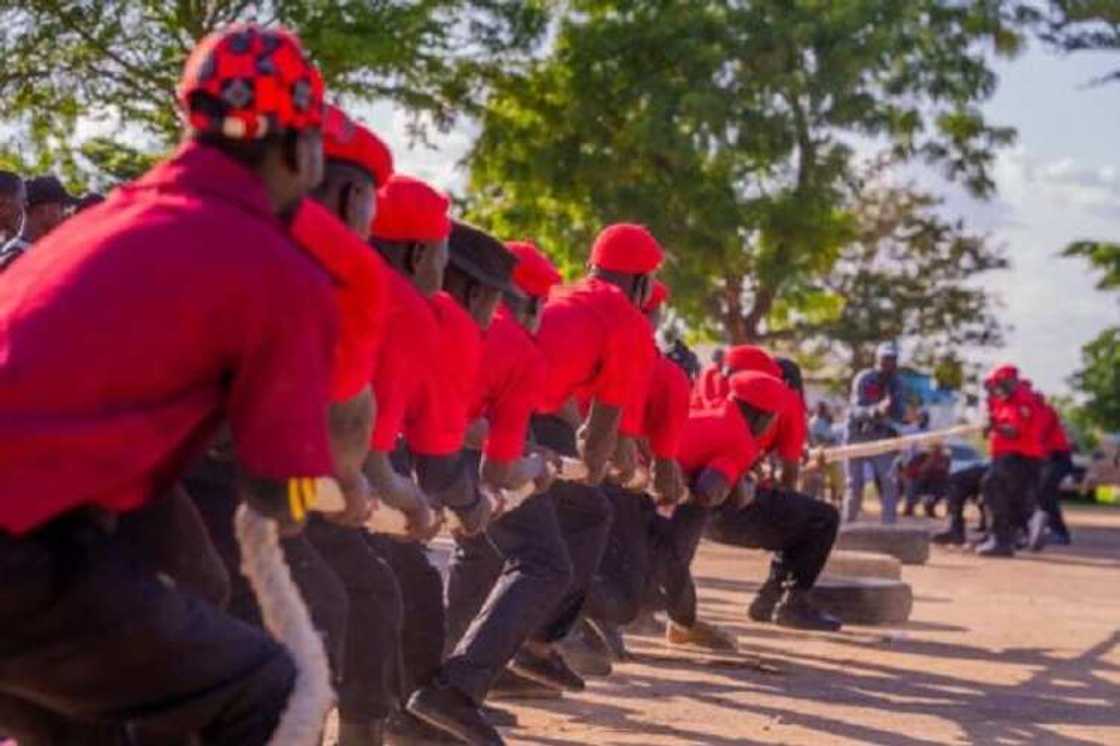 Dakarun CPG Dakarun CPG