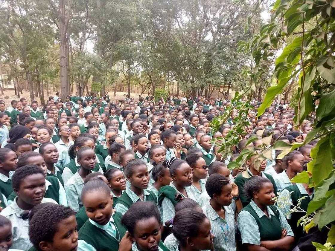 Kenyan girl who made shopping bag from banana fritters appointed Environment Ambassador Kenyan girl who made shopping bag from banana fritters appointed Environment Ambassador