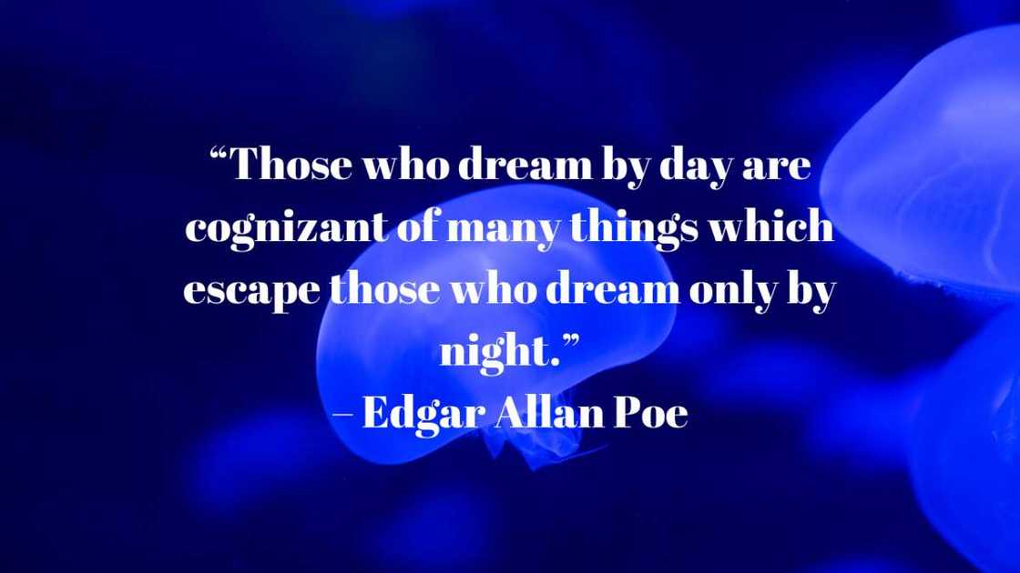 Edgar Allan Poe quotes on love Edgar Allan Poe quotes on love