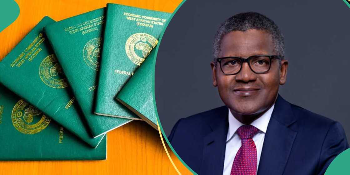 Dangote Opens Up on Difficulties Travelling Africa