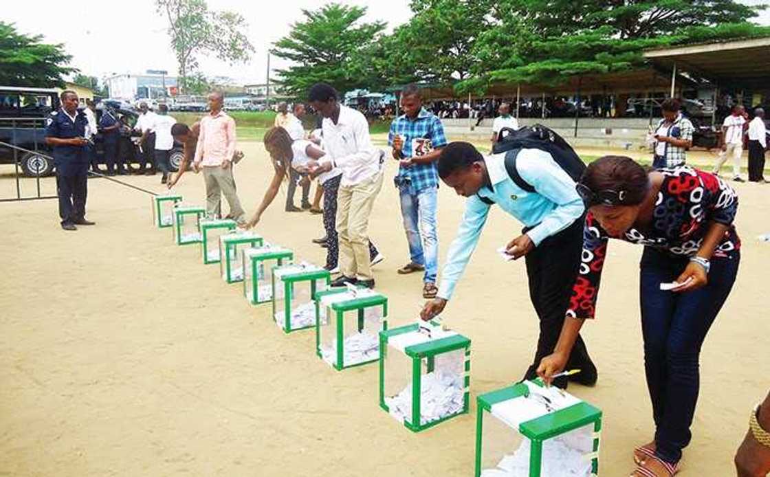 Voter apathy likely in Anambra election Voter apathy likely in Anambra election
