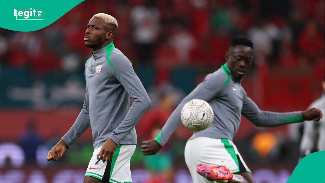 Akor Adams, Nigeria, Super Eagles, Victor Osimhen, AFCON, Moses Simon.