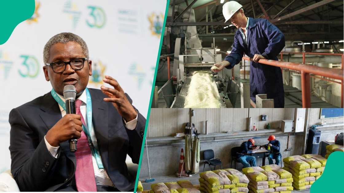Financial crisis looms at Dangote Group over N423 billion FX loss Financial crisis looms at Dangote Group over N423 billion FX loss