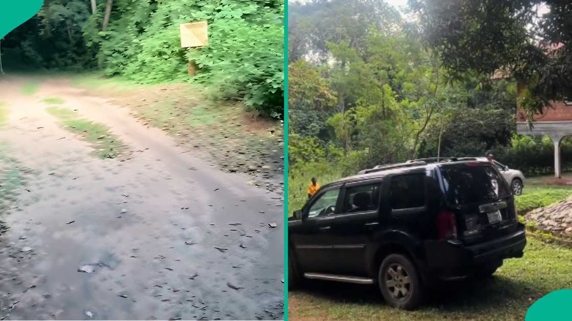 Lady shows what she saw aft visiting Wole Soyinka's wood location successful Abeokuta Lady shows what she saw aft visiting Wole Soyinka's wood location successful Abeokuta