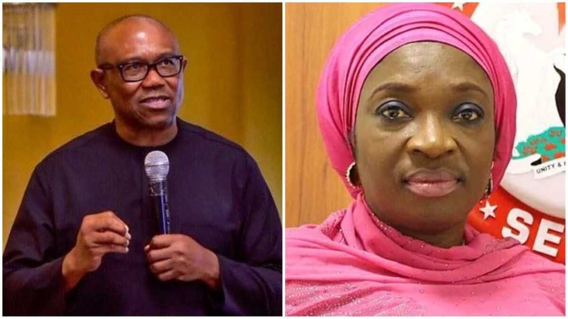 Uche Ekwunife, Peter Obi, 2023 presidential election, Nid Anambra Uche Ekwunife, Peter Obi, 2023 presidential election, Nid Anambra