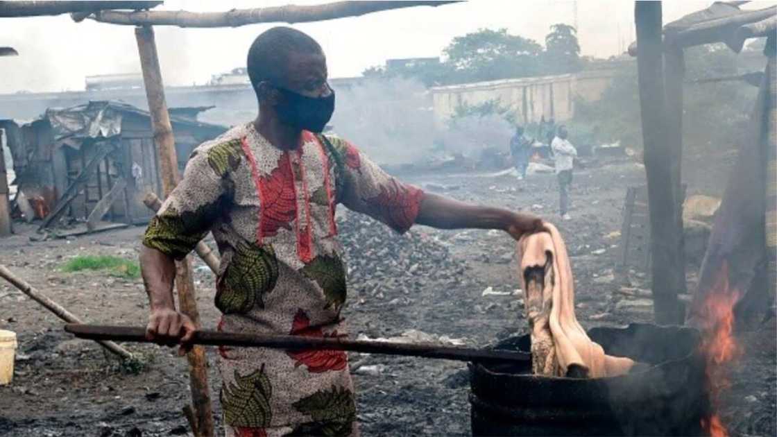 Ponmo/Cow Skin/Nigeria Ponmo/Cow Skin/Nigeria