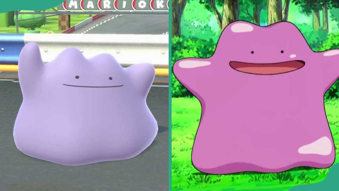 Ditto from Pokemon