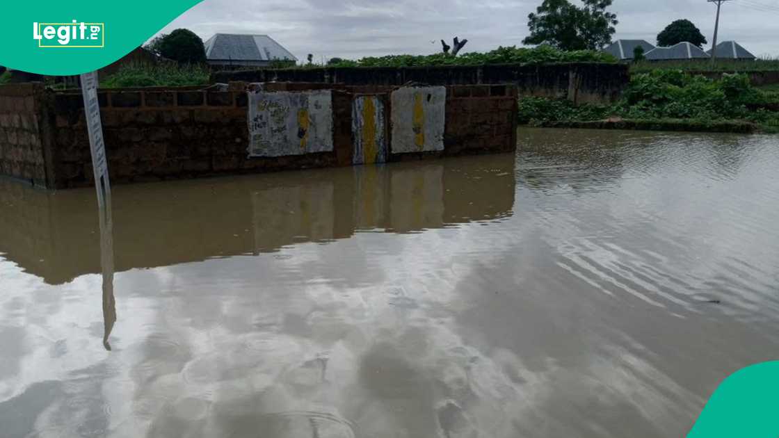 Families in Sokoto State have lost properties to heavy flooding, Farmers vacate farmlands after effect of the heavy flood, Community leaders in Sokoto begs for government intervention, Reseidents recount how NEMA responded swiftly to the incident