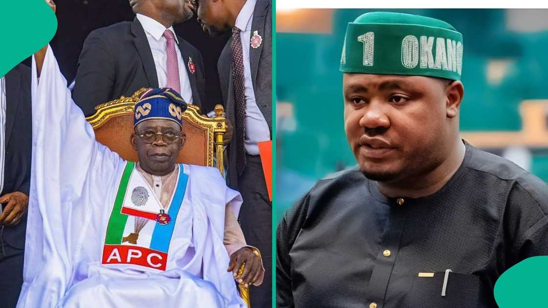 New RHOLAN network launches a grassroots drive to back Tinubu for a second term in 2027. New RHOLAN network launches a grassroots drive to back Tinubu for a second term in 2027.