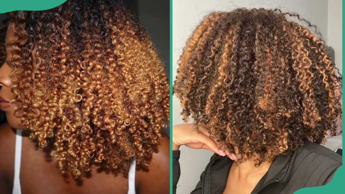 Brown kinky curls with blonde highlights Brown kinky curls with blonde highlights