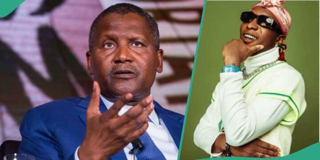 Dangote: Mawaki ya bar aiki a kamfanin Dangote saboda wani ya soye a gabansa