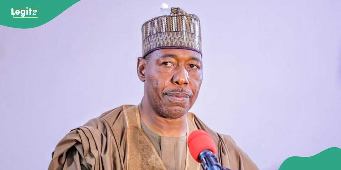 Governor Zulum’s son not arrested for killing in India