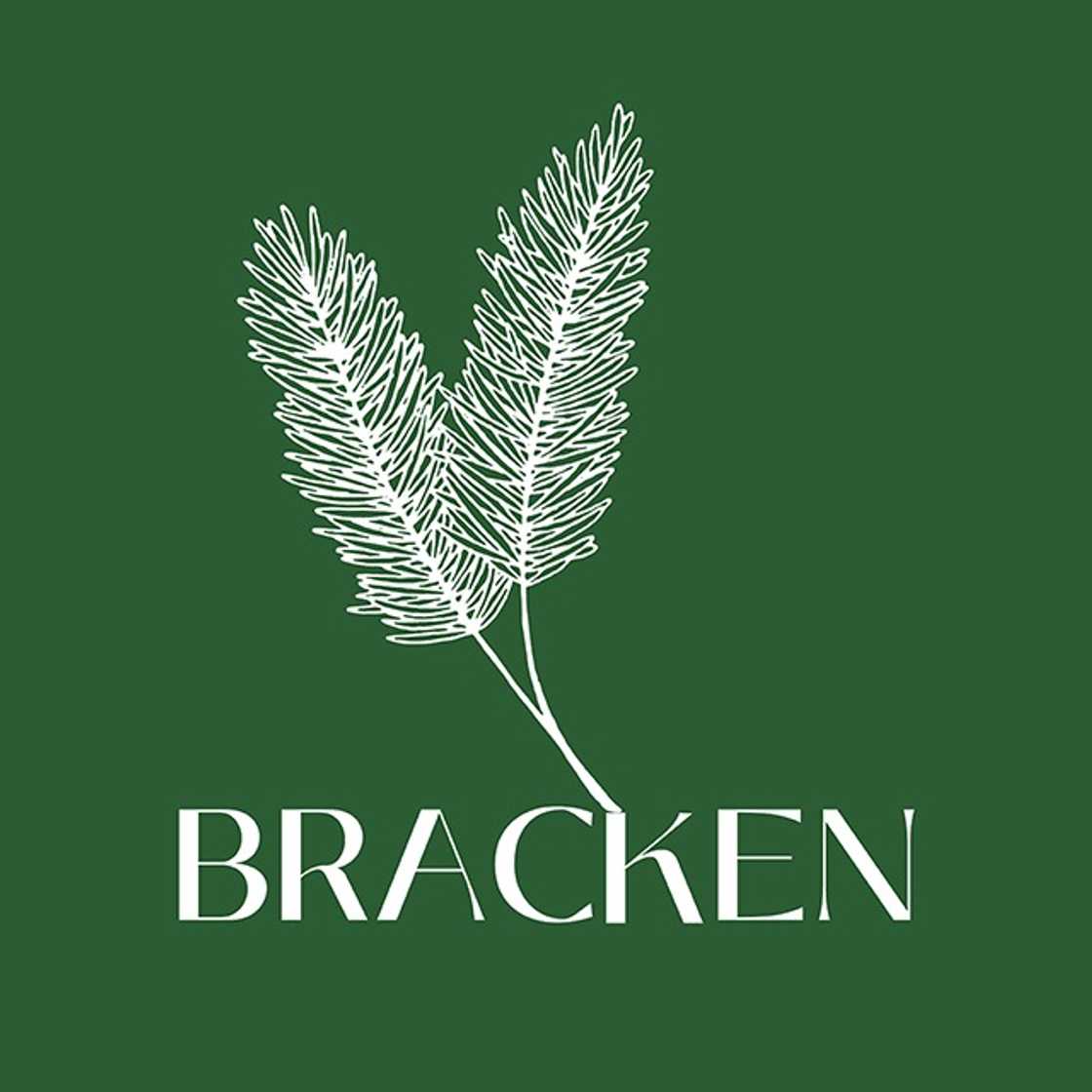 Bracken Media Solutions Hosts Media Stakeholders to Mark Chinese New Year, Unveil 2026 Vision