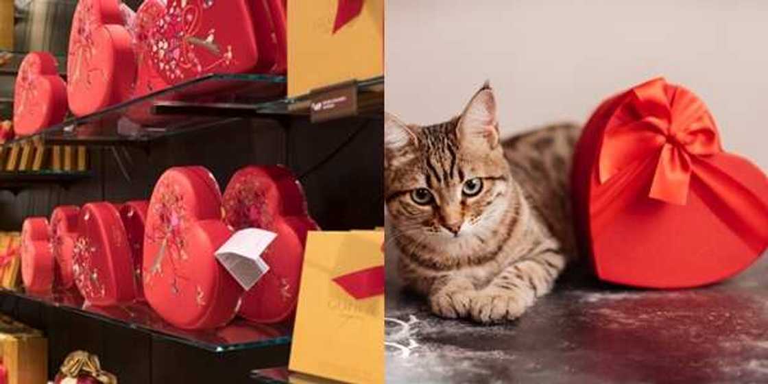 5 Fun facts about Valentines Day 5 Fun facts about Valentines Day