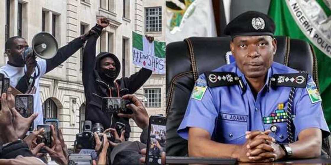 Dumbin masu zanga-zangar ENDSARS sun dawo suna 'romon baka' akan aikin dan sanda Dumbin masu zanga-zangar ENDSARS sun dawo suna 'romon baka' akan aikin dan sanda