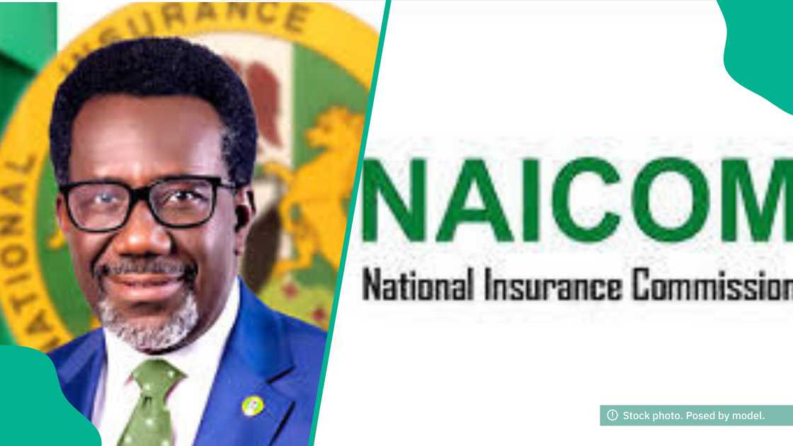 Insurance firms gets over 1,500 complaints