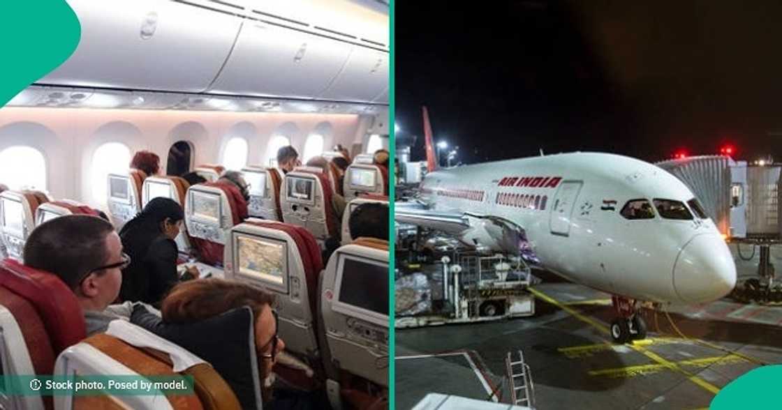 Air India begins investigation after cockroaches were found inside plane.