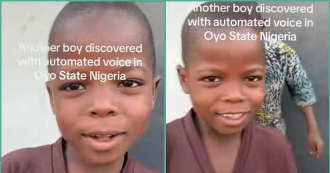 Little boy's sings with automated voice in video Little boy's sings with automated voice in video