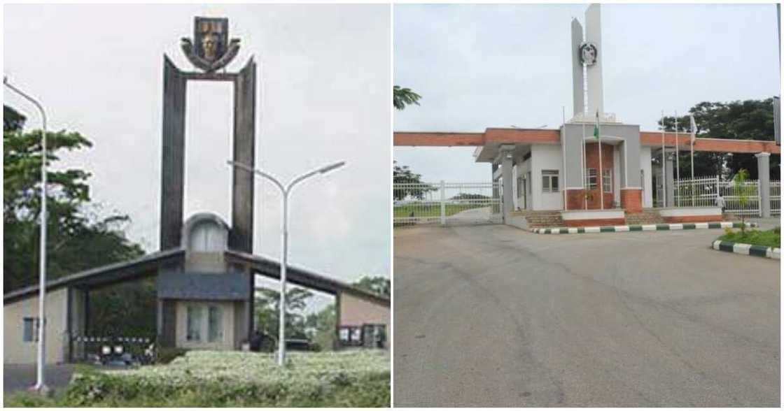 Nigerian Universities to Offer Degree In Artificial Intelligence Nigerian Universities to Offer Degree In Artificial Intelligence