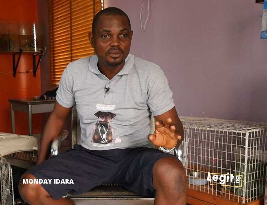 Meet the Nigerian vet who rescues and shelters animals