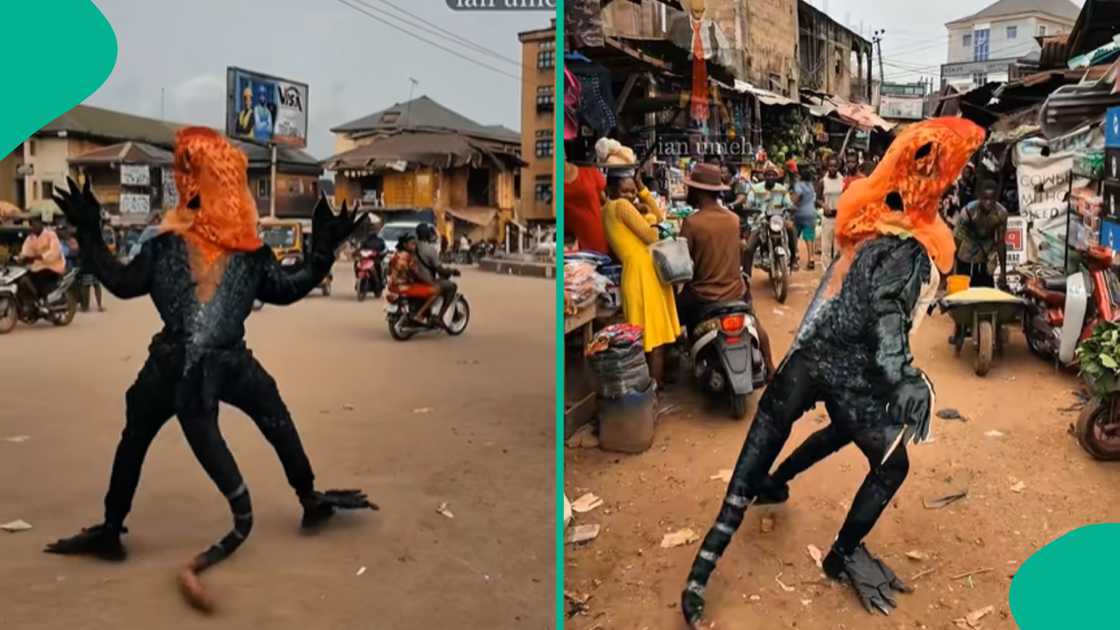 Man goes viral after appearing lizard costume. Man goes viral after appearing lizard costume.