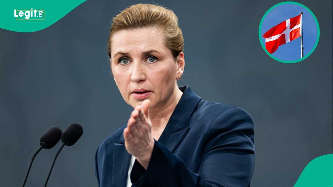 Denmark reveals 17 foreigners barred from entry and publishes their names, photos Denmark reveals 17 foreigners barred from entry and publishes their names, photos