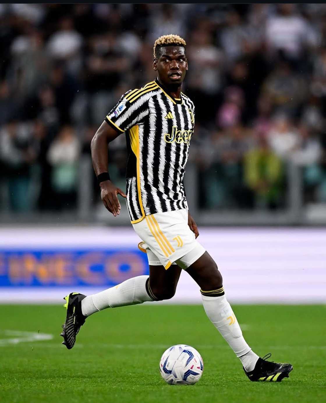 The Premier League’s Biggest Transfers - Did They Live Up to the Hype? The Premier League’s Biggest Transfers - Did They Live Up to the Hype?