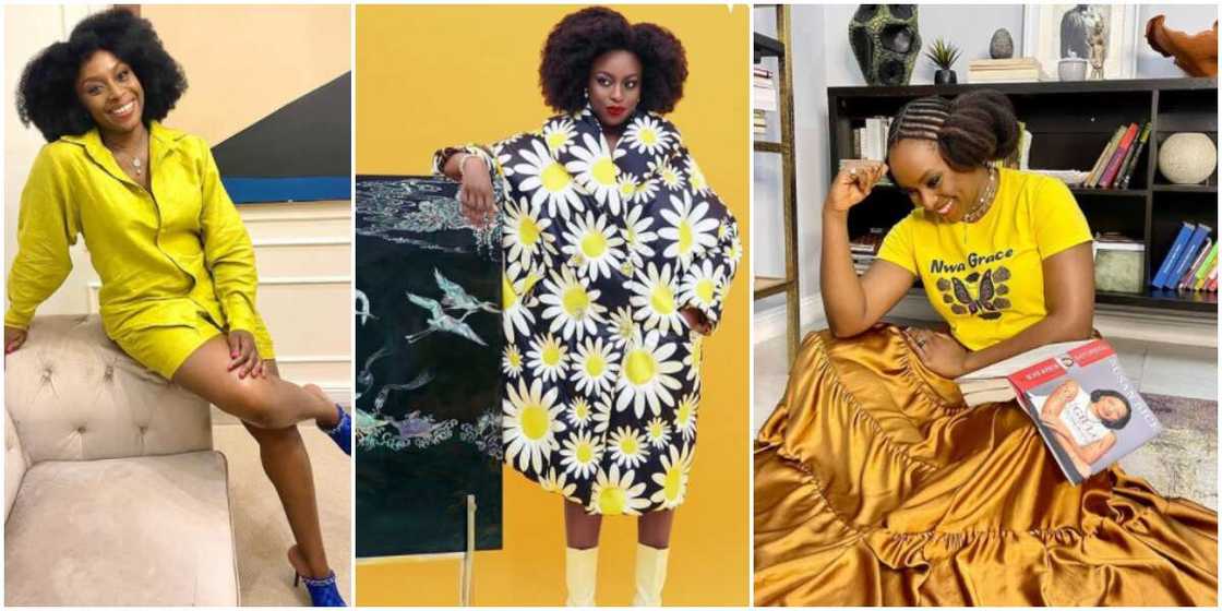 Chimamanda Adichie Chimamanda Adichie