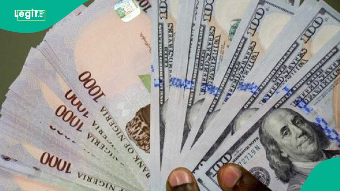 CBN closes undelivered FX contracts investigation CBN closes undelivered FX contracts investigation