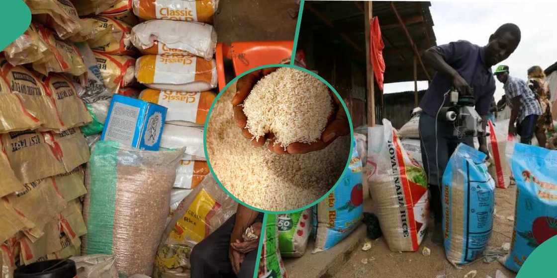 Inside Nigerian markets where local rice is rebranded as foreign brands Inside Nigerian markets where local rice is rebranded as foreign brands