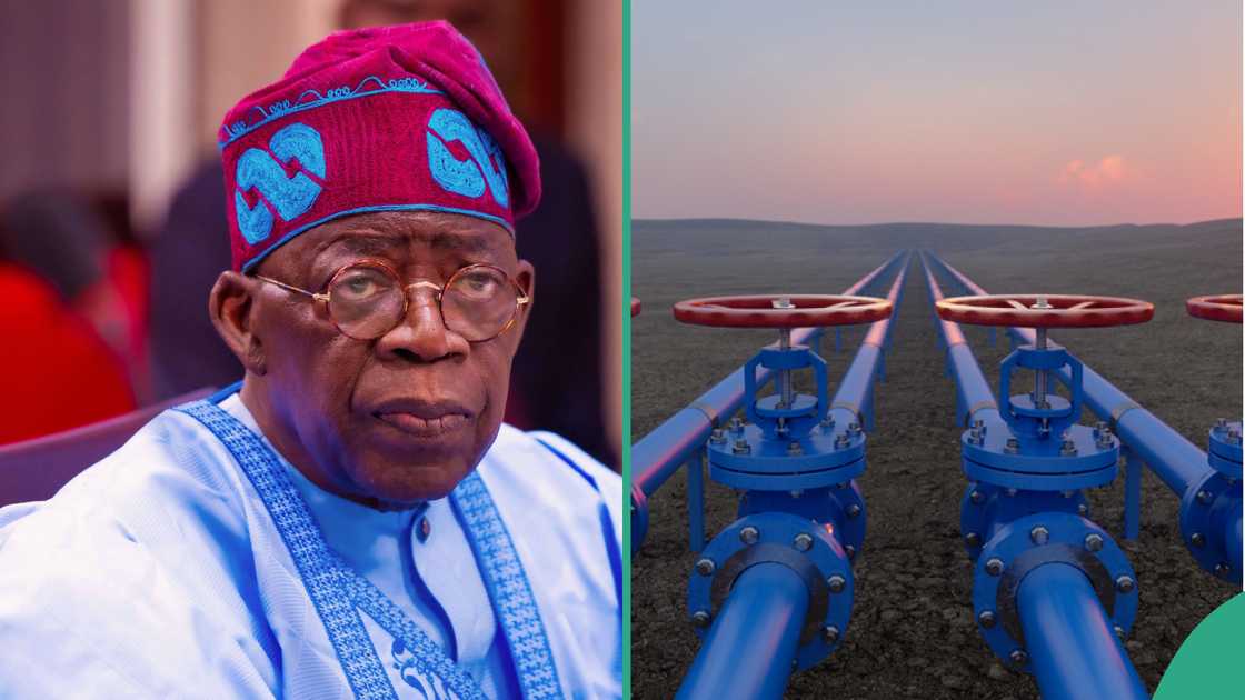 FG Bans Importation of Oil Pipelines FG Bans Importation of Oil Pipelines