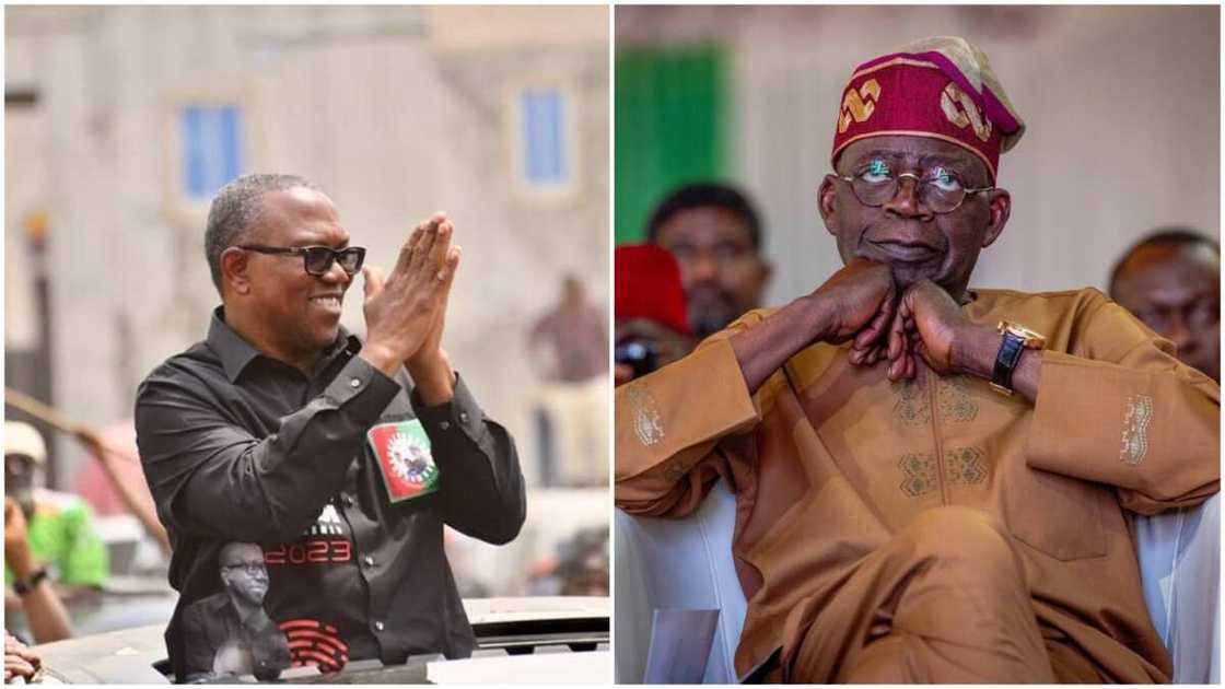 INEC Website/Russian Boy/2023 Elections/Peter Obi INEC Website/Russian Boy/2023 Elections/Peter Obi