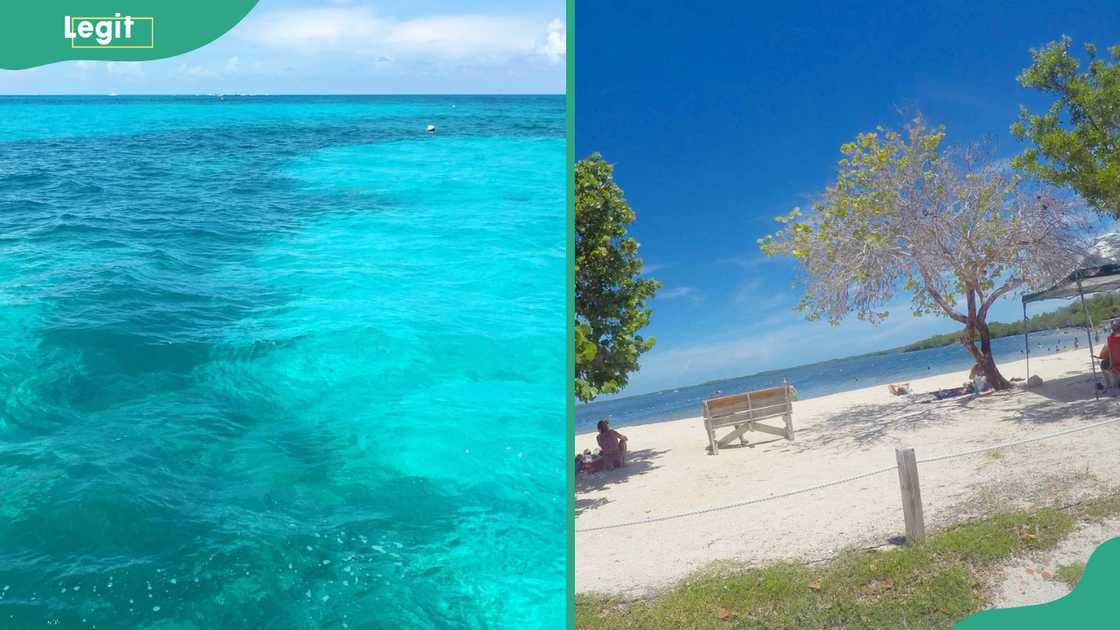 John Pennekamp Coral Reef State Park