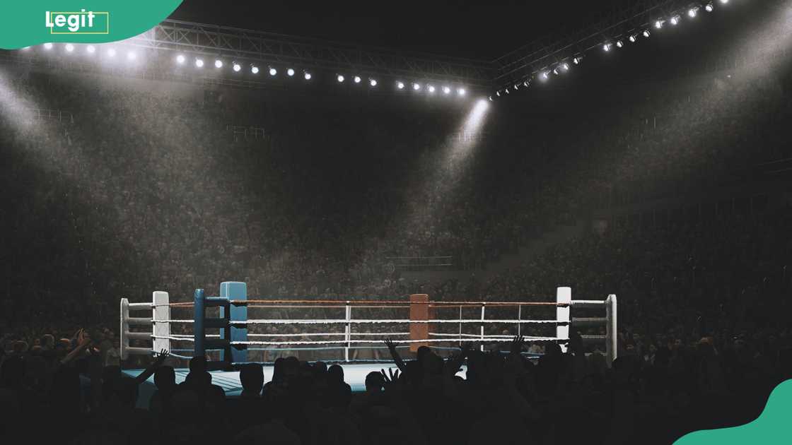 WWE ring with a crowd of spectators WWE ring with a crowd of spectators