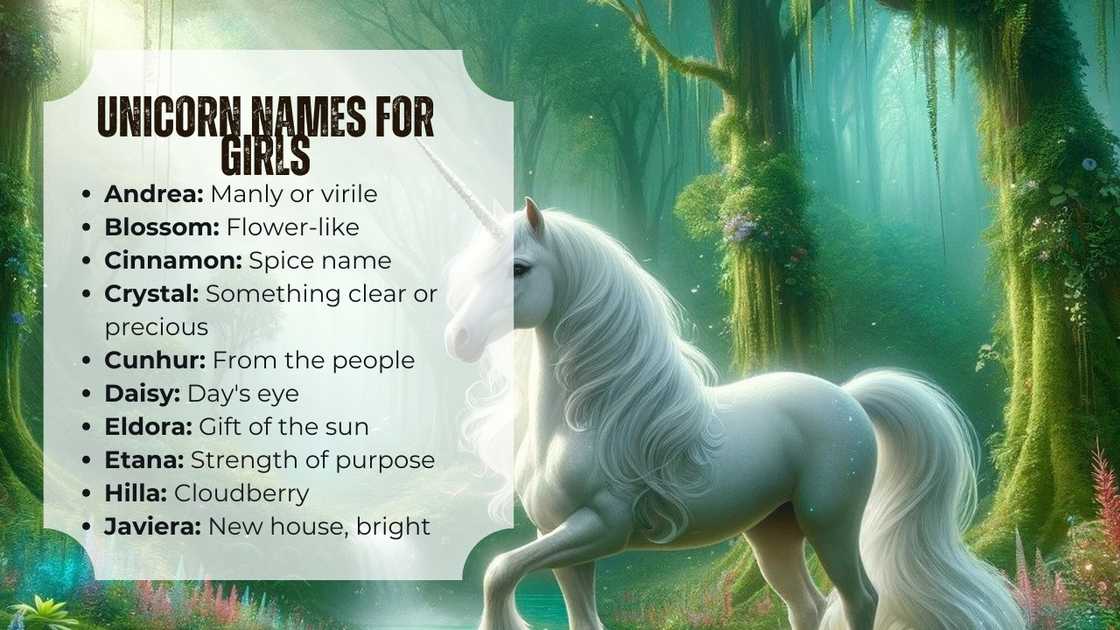 Unicorn names for girls