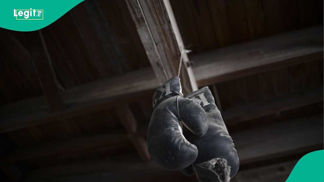 Boxing, Ruben Castillo, America, World Boxing, Julio Cesar, Beaumont.