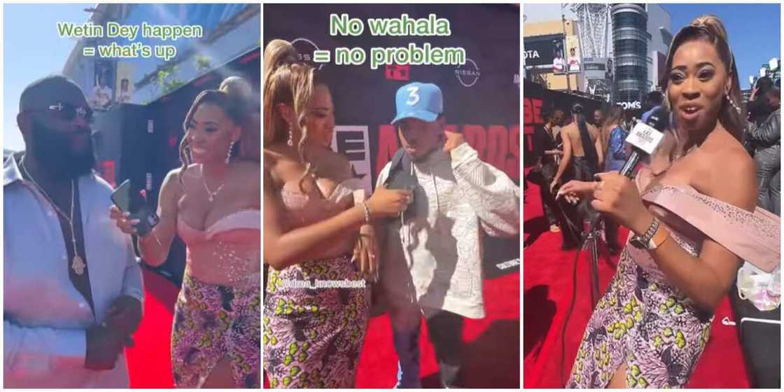 Drea Knowsbest and top celebs Drea Knowsbest and top celebs