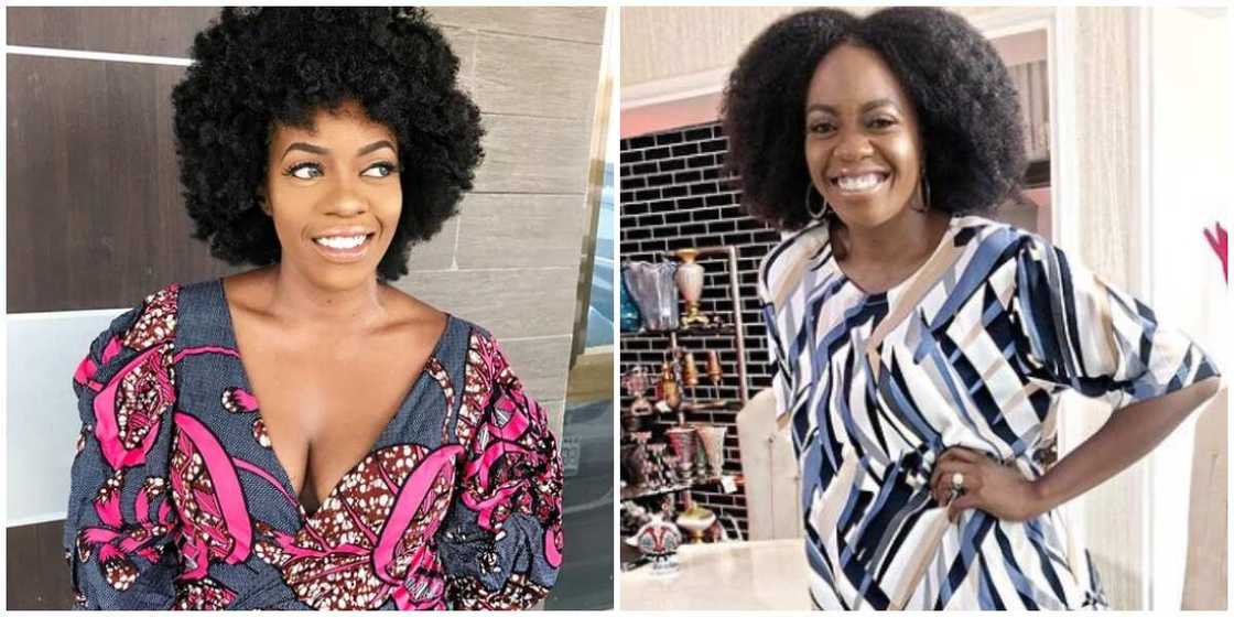Shade Ladipo: It is not possible for Prince Philip to rest in peace, the Monarchy destroyed generations Shade Ladipo: It is not possible for Prince Philip to rest in peace, the Monarchy destroyed generations