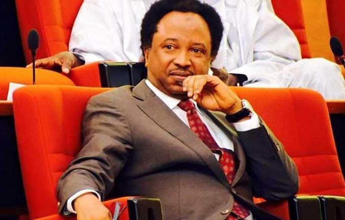 EFCC: Kotu ta fara shirin janye belin tsohon Sanata Shehu Sani