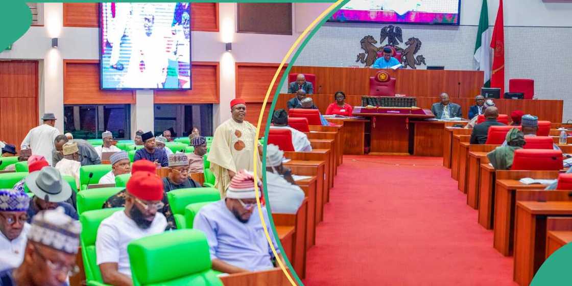 'Yan majalisa 'Yan majalisa