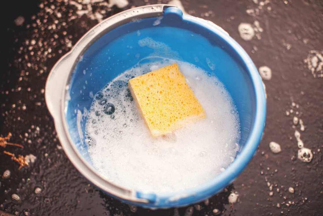 A bucket with soapy water and sponge